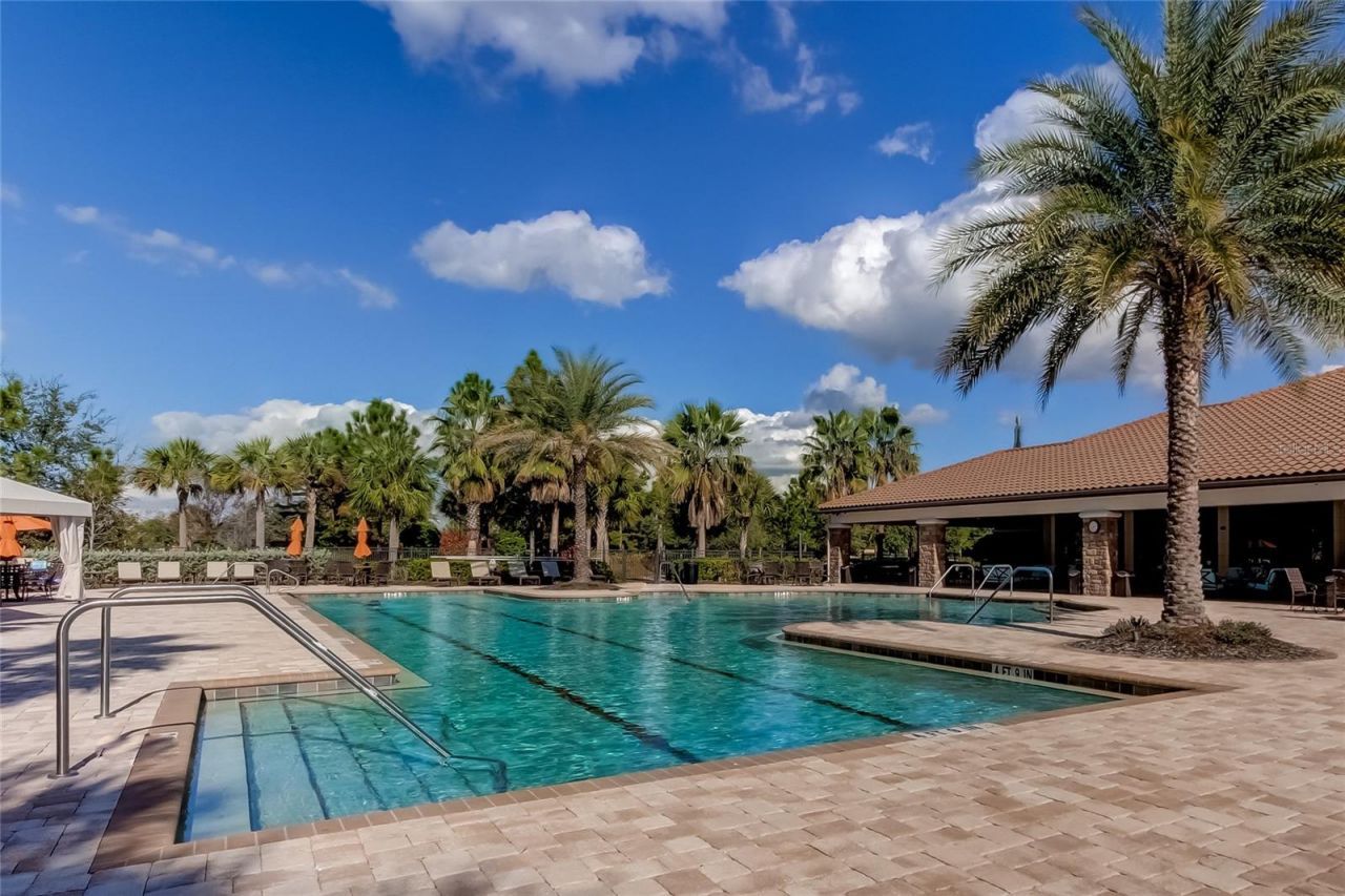 11257 Egeria Drive, Odessa, FL 33556 Photo