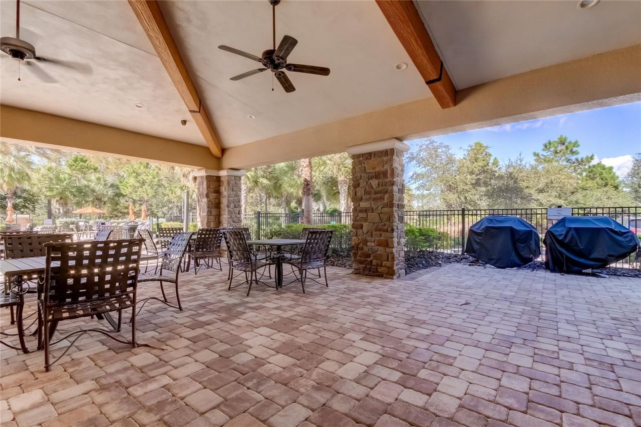 11257 Egeria Drive, Odessa, FL 33556 Photo