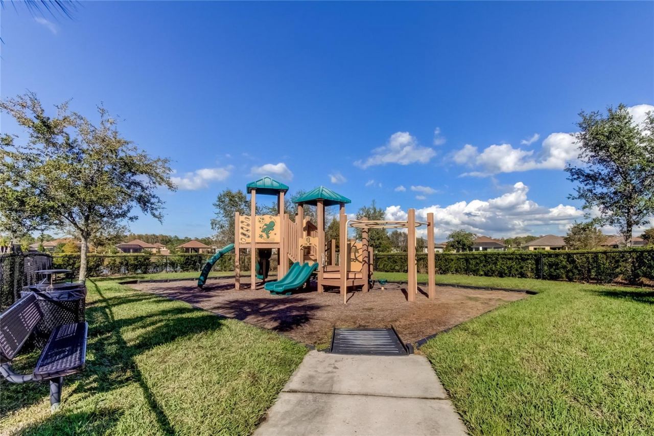 11257 Egeria Drive, Odessa, FL 33556 Photo