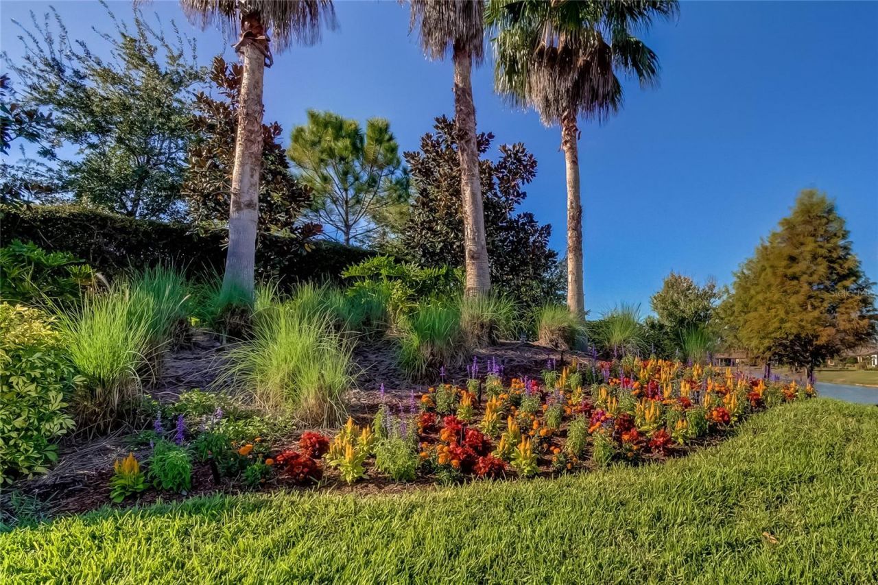 11257 Egeria Drive, Odessa, FL 33556 Photo