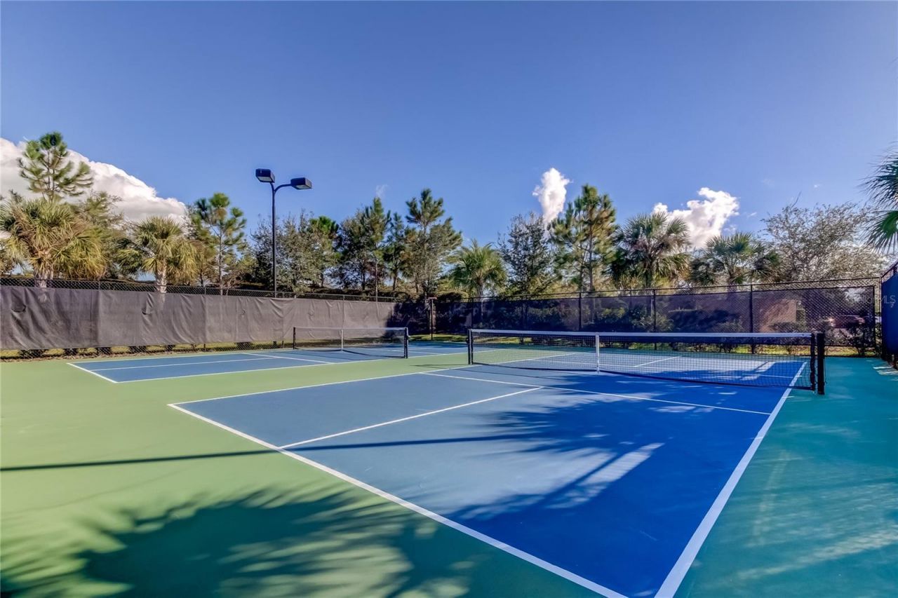 11257 Egeria Drive, Odessa, FL 33556 Photo