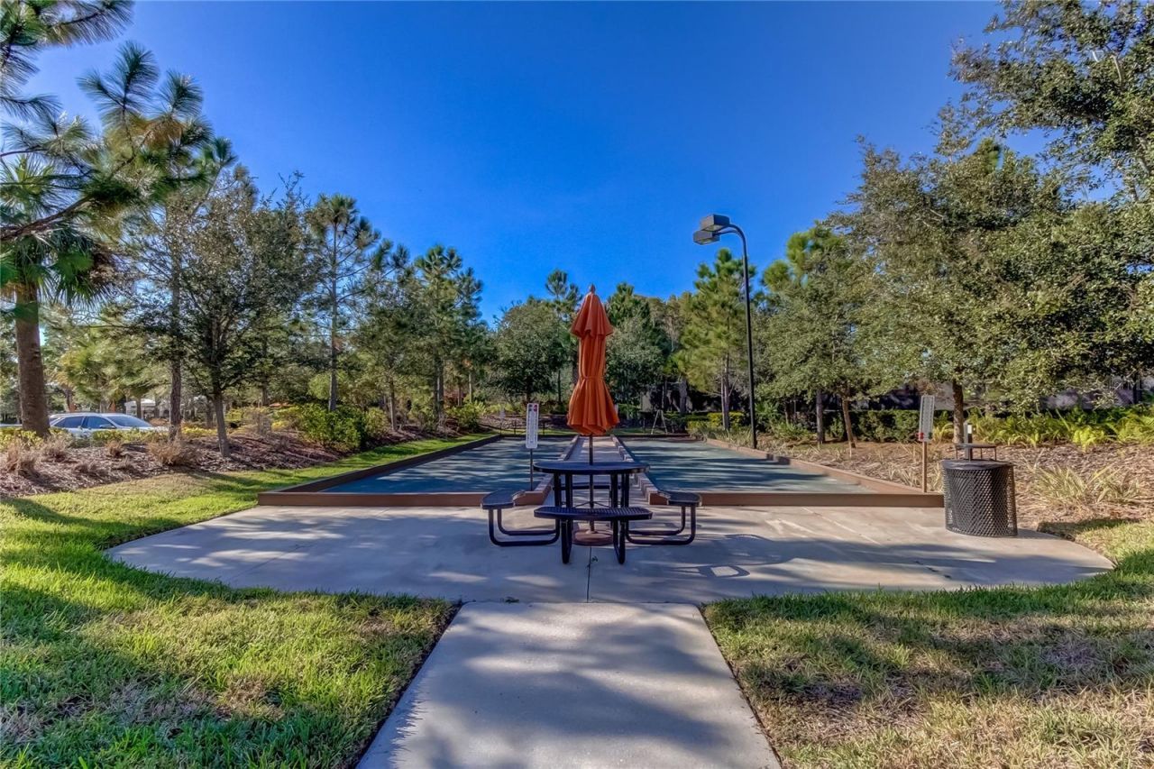 11257 Egeria Drive, Odessa, FL 33556 Photo