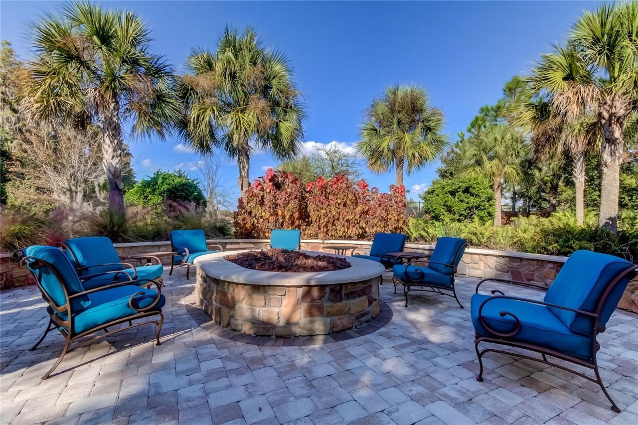 11257 Egeria Drive, Odessa, FL 33556 Photo