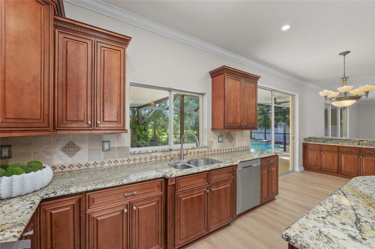 15509 Eastbourn Drive, Odessa, FL 33556 Photo