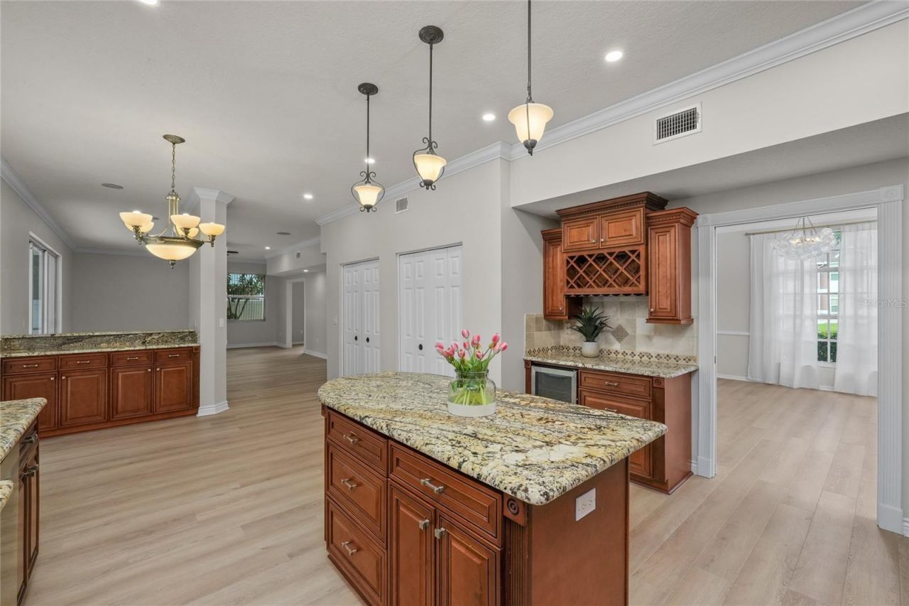 15509 Eastbourn Drive, Odessa, FL 33556 Photo