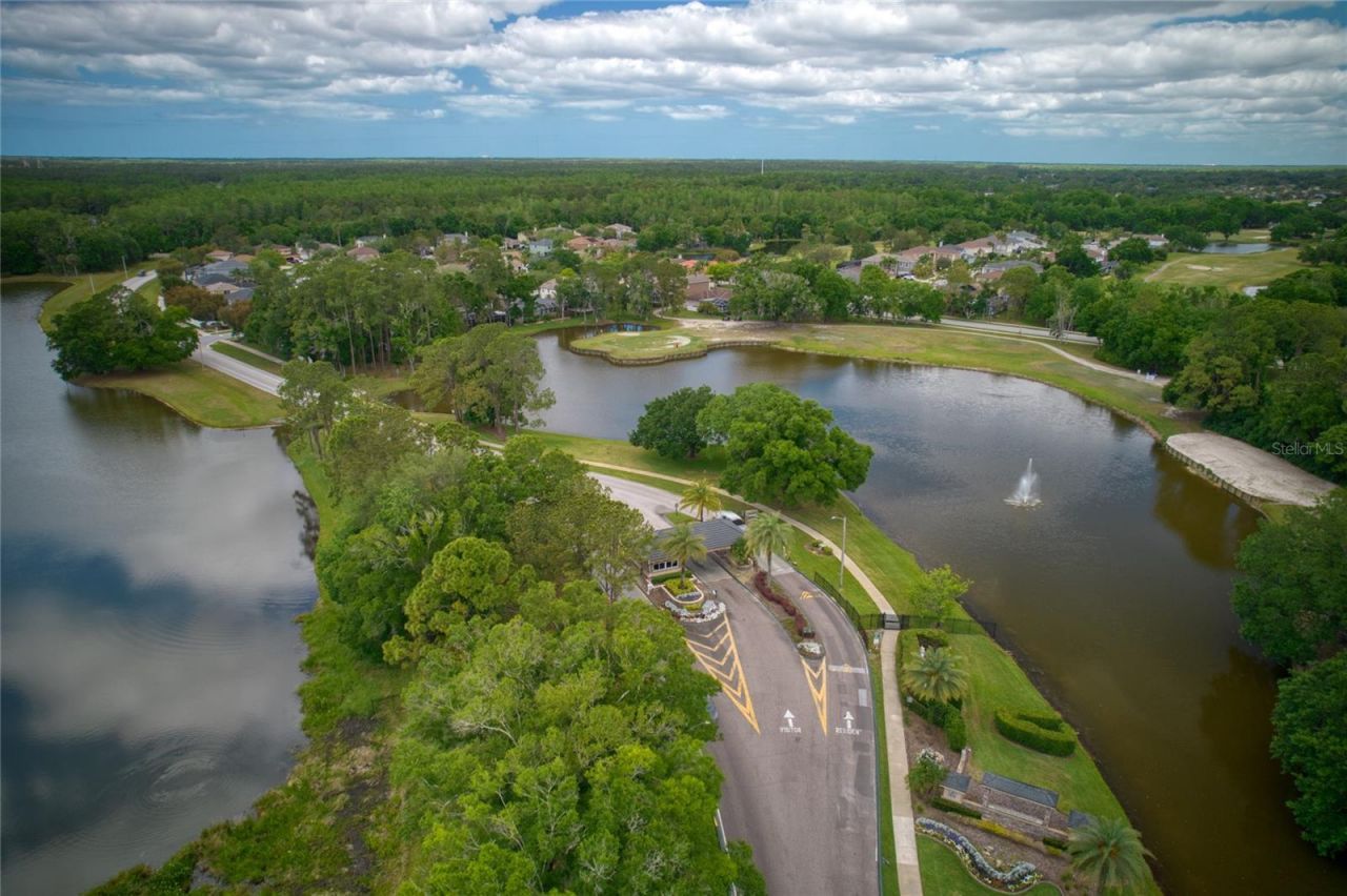 15509 Eastbourn Drive, Odessa, FL 33556 Photo