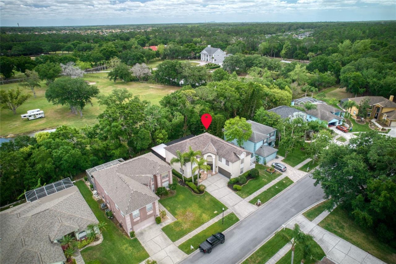 15509 Eastbourn Drive, Odessa, FL 33556 Photo