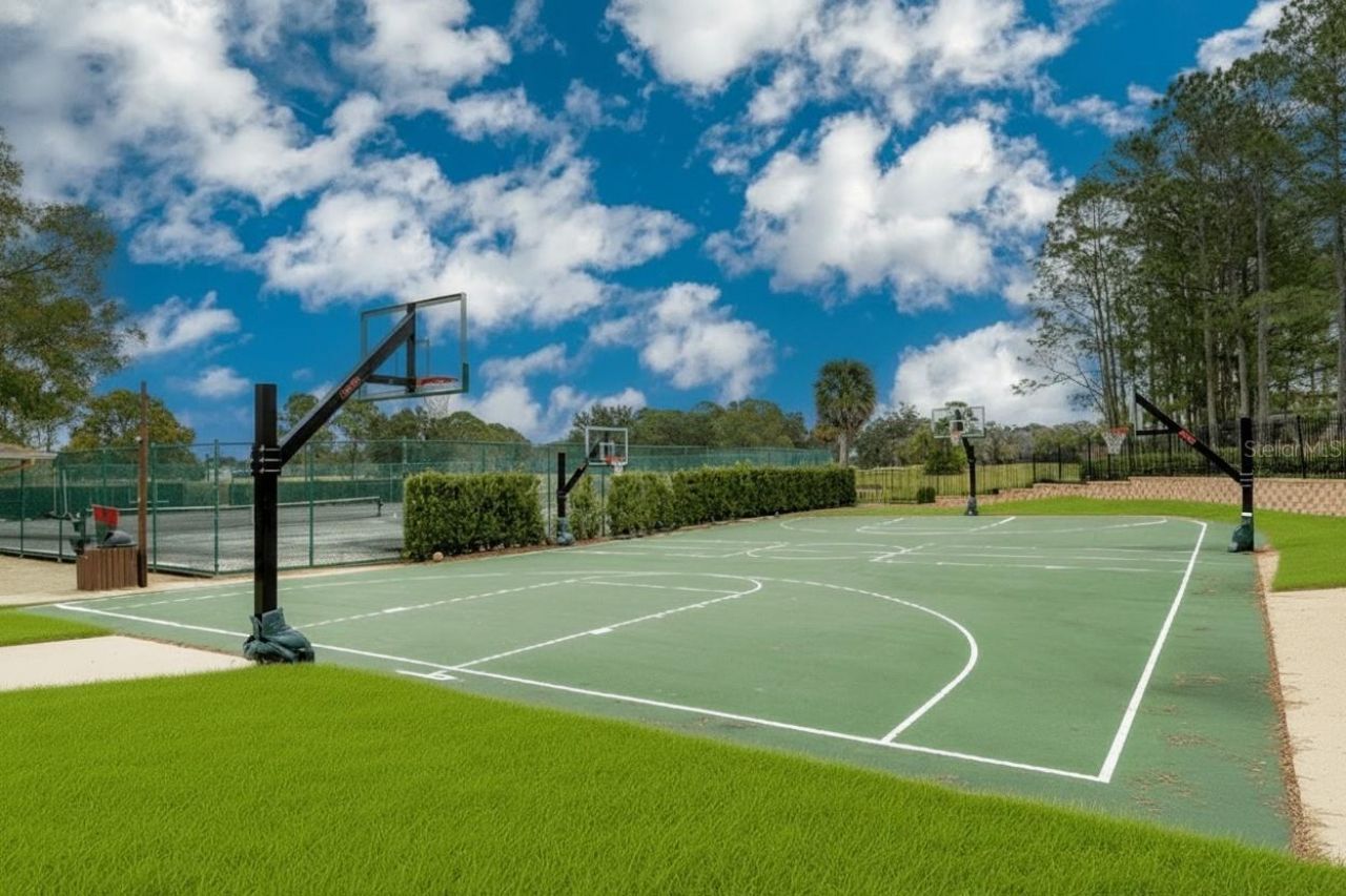 15509 Eastbourn Drive, Odessa, FL 33556 Photo