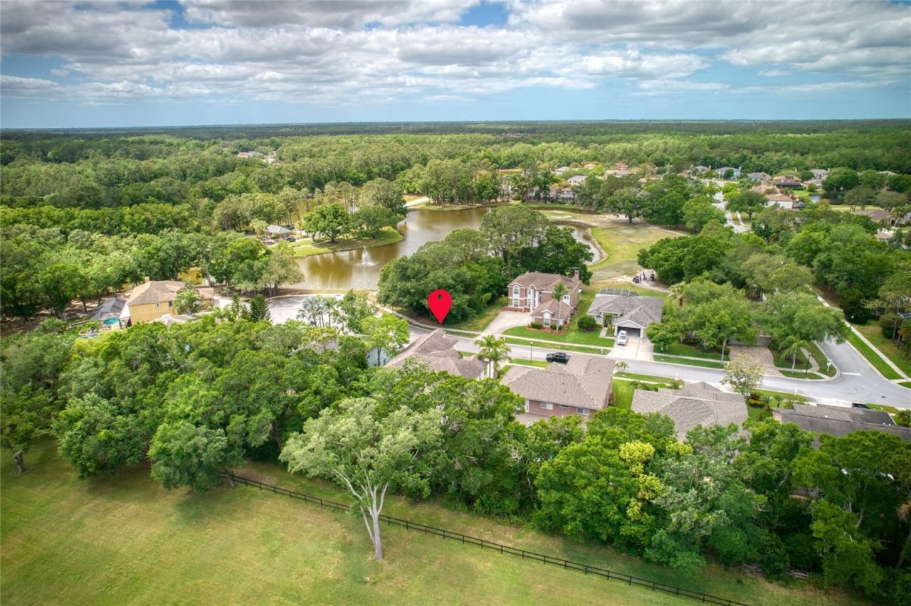 15509 Eastbourn Drive, Odessa, FL 33556 Photo