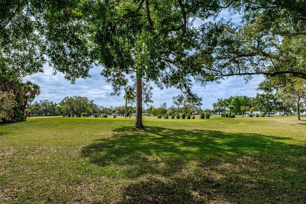 4286 96th Avenue N, Pinellas Park, FL 33782 Photo