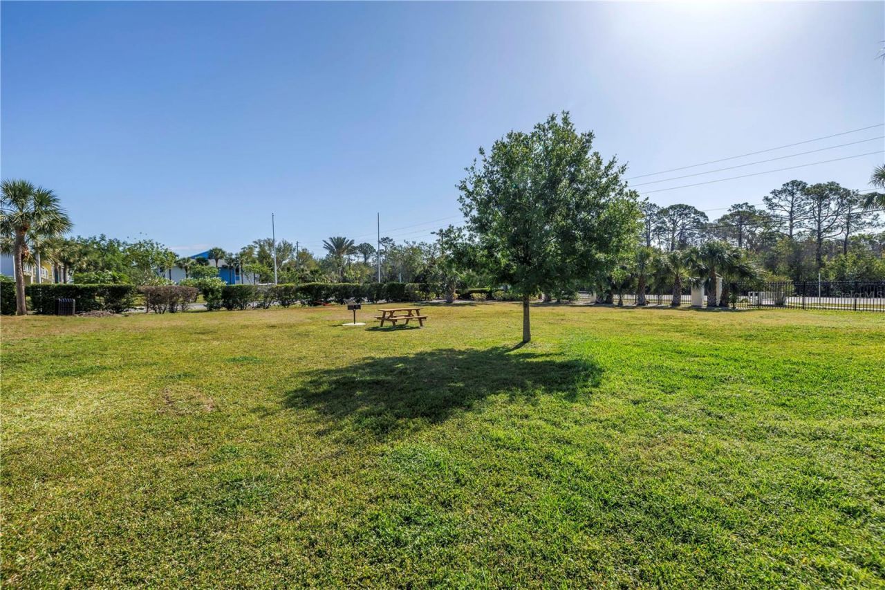 455 Alt 19 S, Unit 266, Palm Harbor, FL 34683 Photo