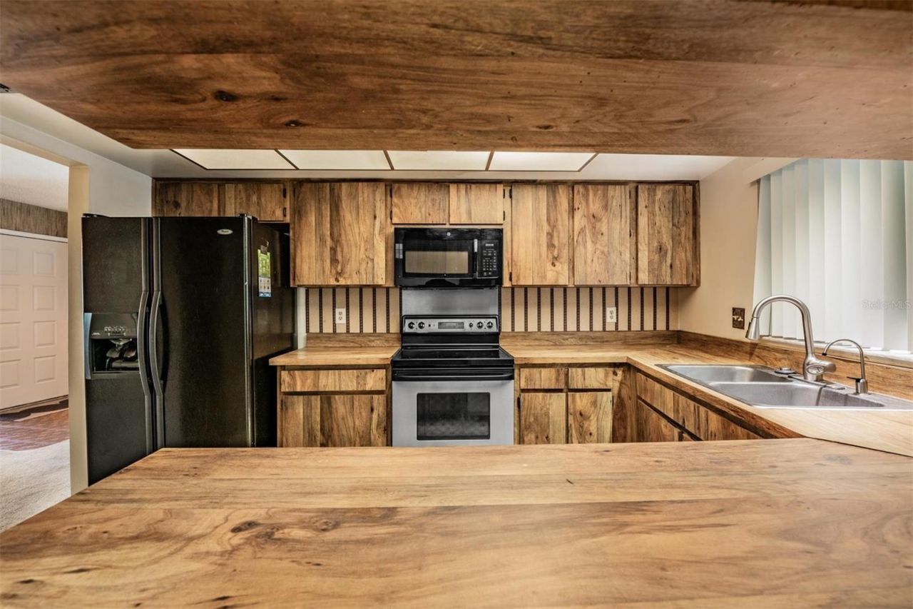 3916 Casaba Loop , Valrico, FL 33596 Photo