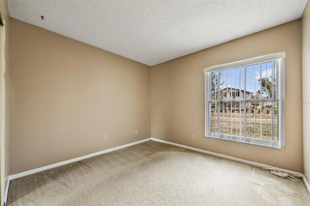 3916 Casaba Loop , Valrico, FL 33596 Photo