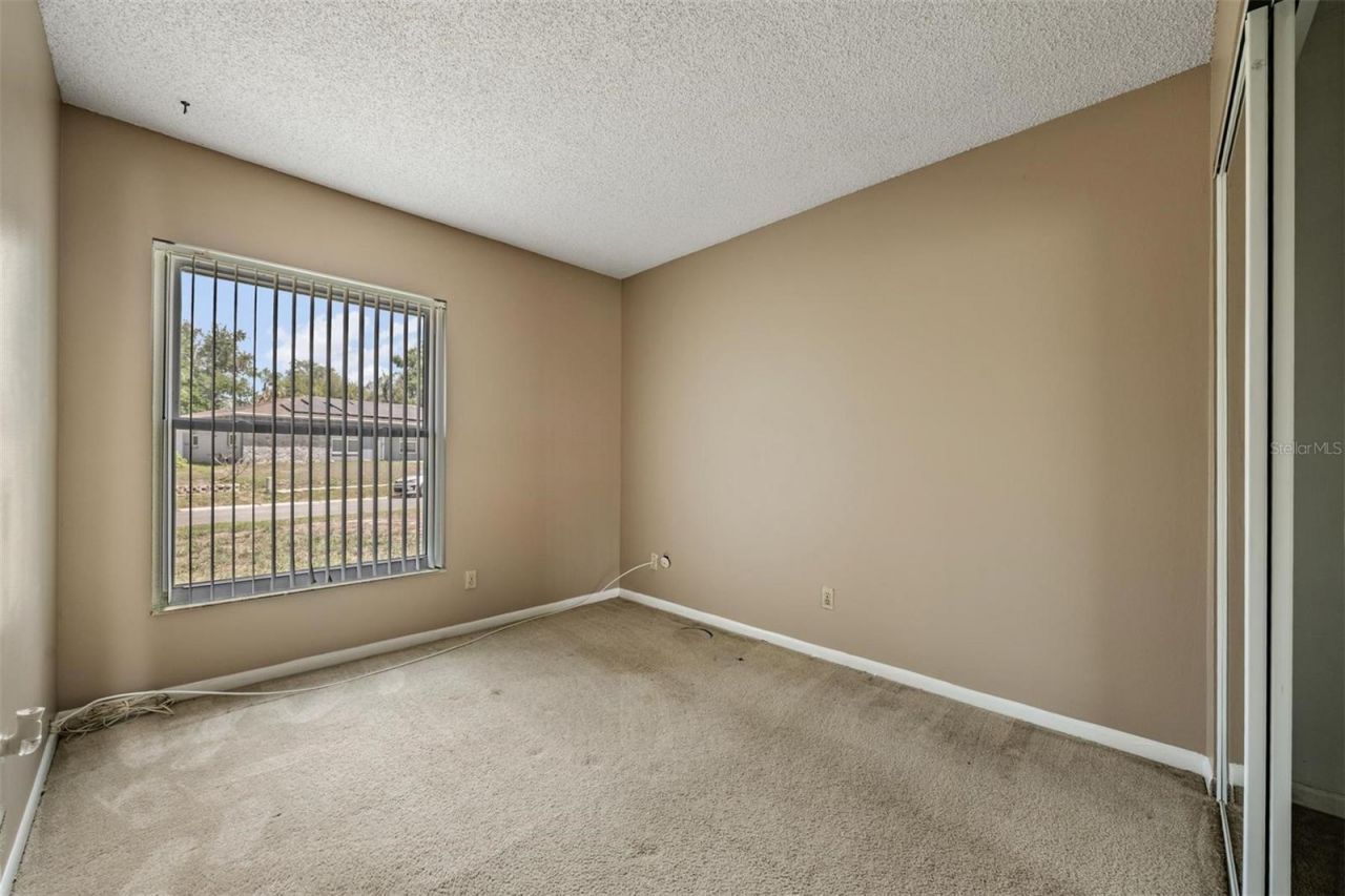 3916 Casaba Loop , Valrico, FL 33596 Photo