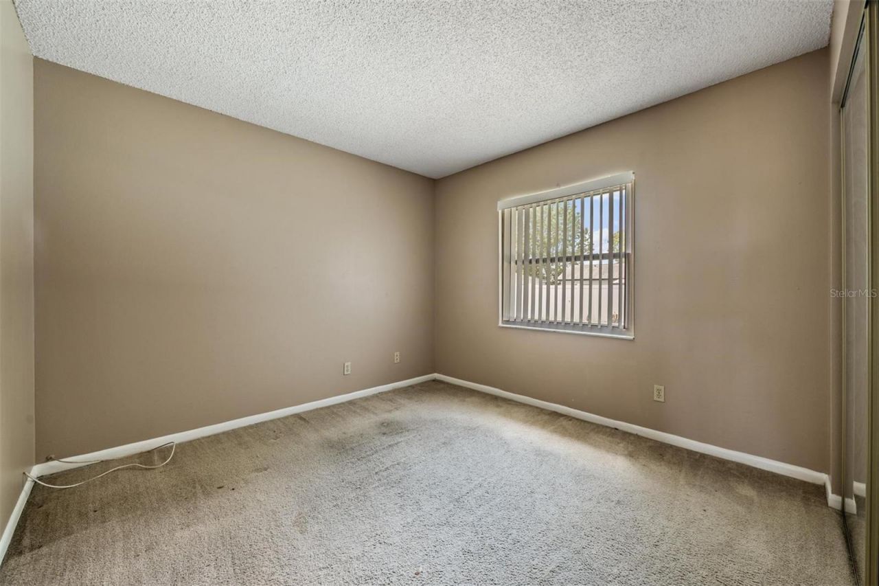 3916 Casaba Loop , Valrico, FL 33596 Photo