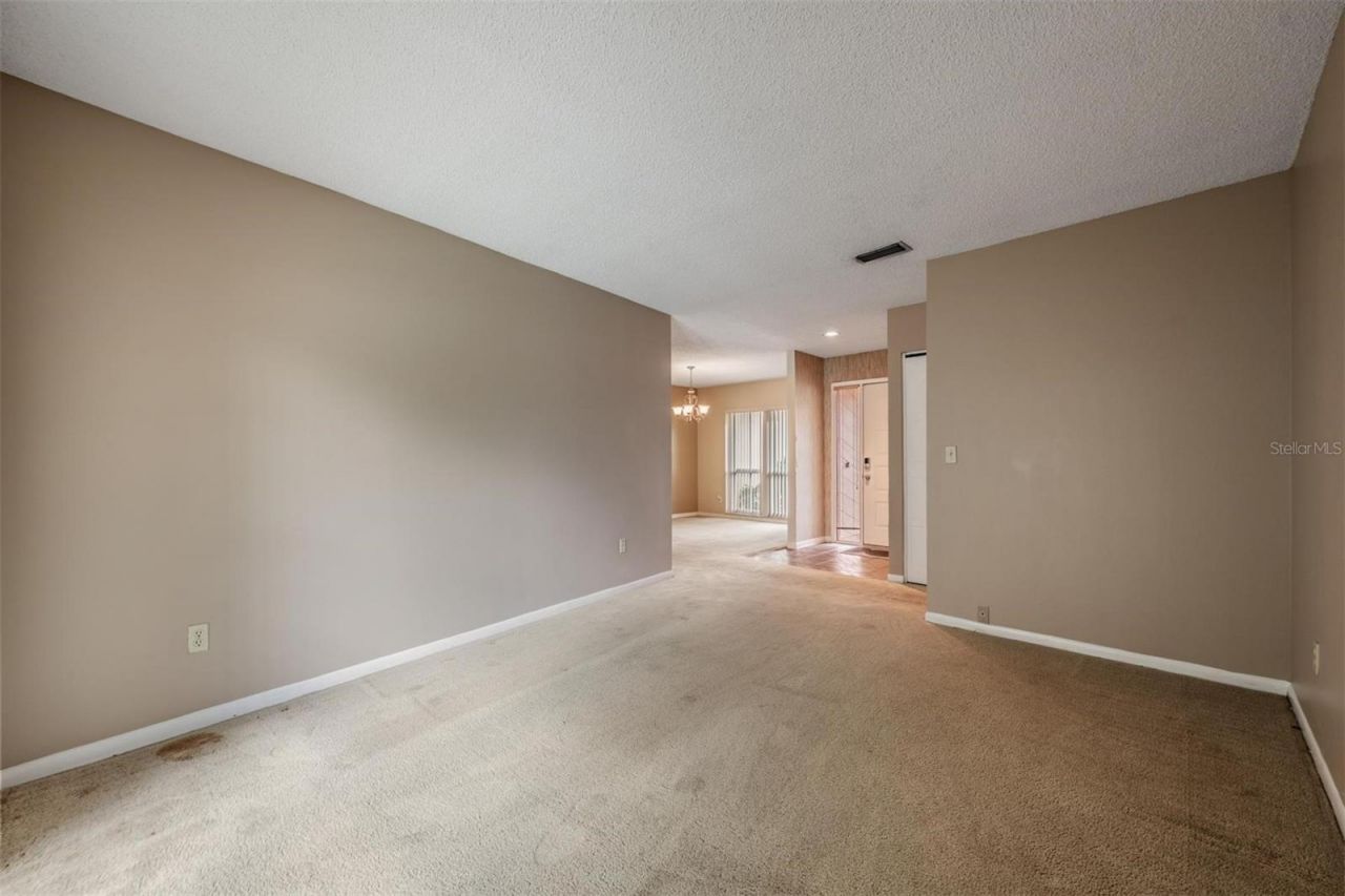 3916 Casaba Loop , Valrico, FL 33596 Photo