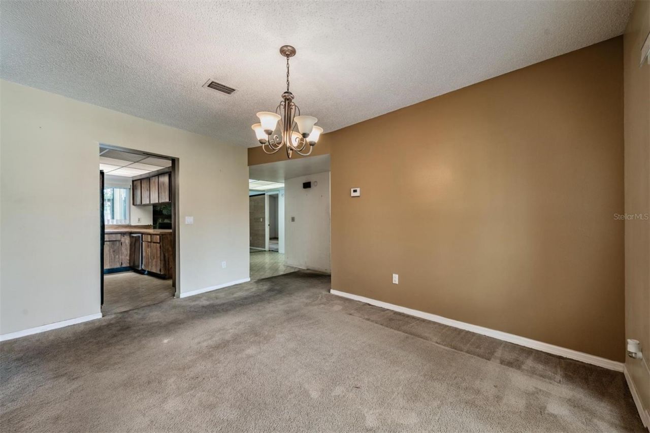 3916 Casaba Loop , Valrico, FL 33596 Photo