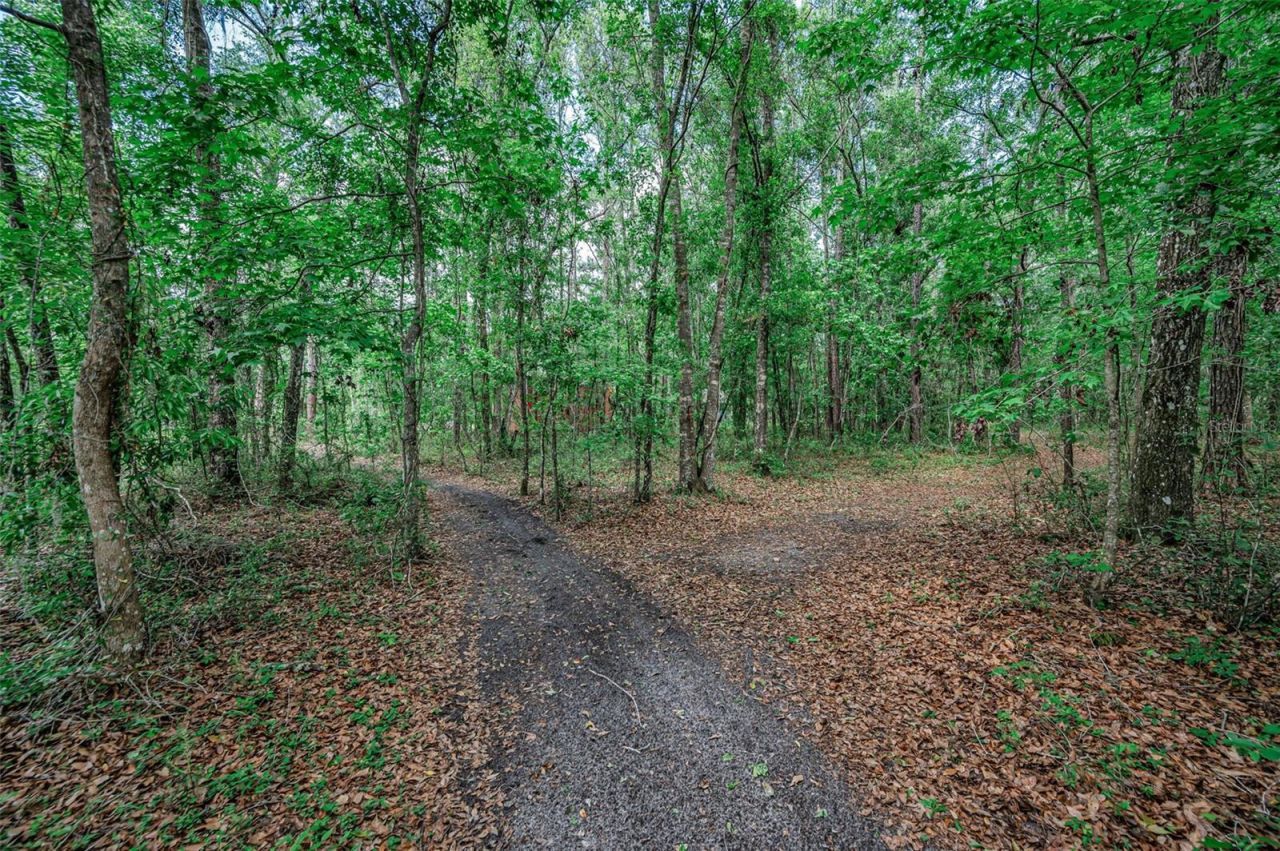 4130 Racers Way, Brooksville, FL 34604 Photo