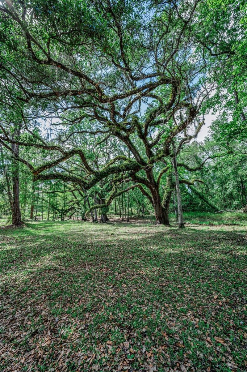 4130 Racers Way, Brooksville, FL 34604 Photo