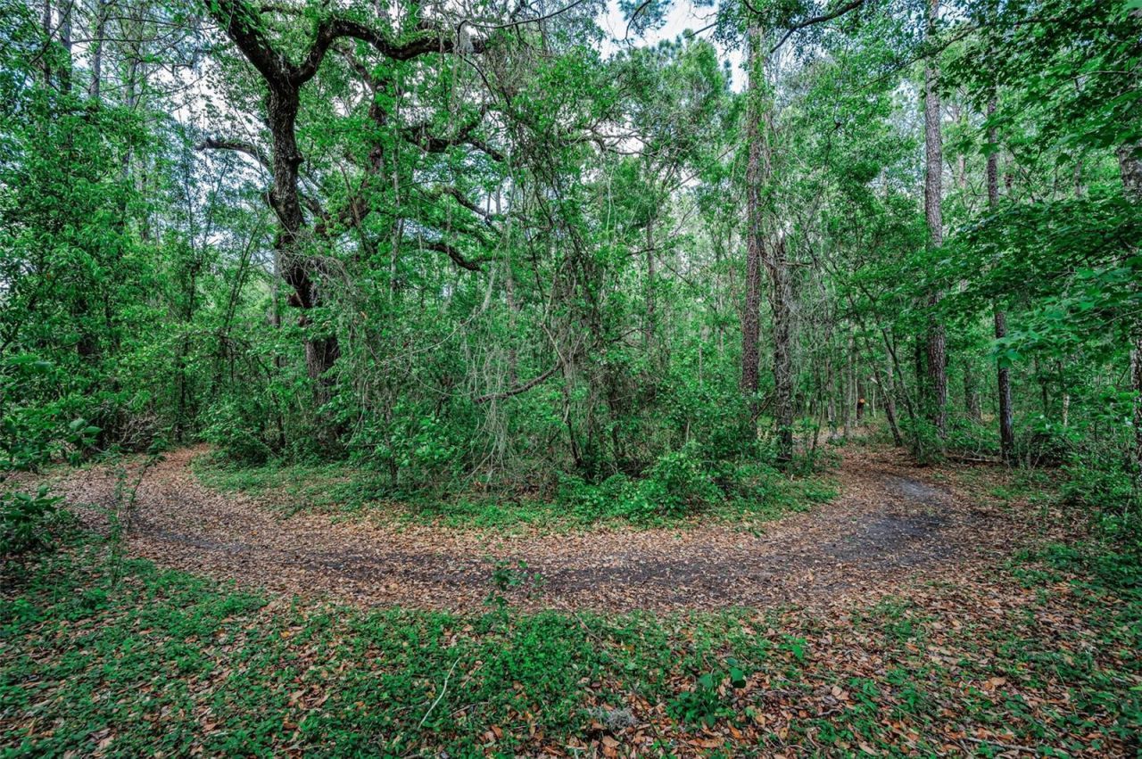 4130 Racers Way, Brooksville, FL 34604 Photo