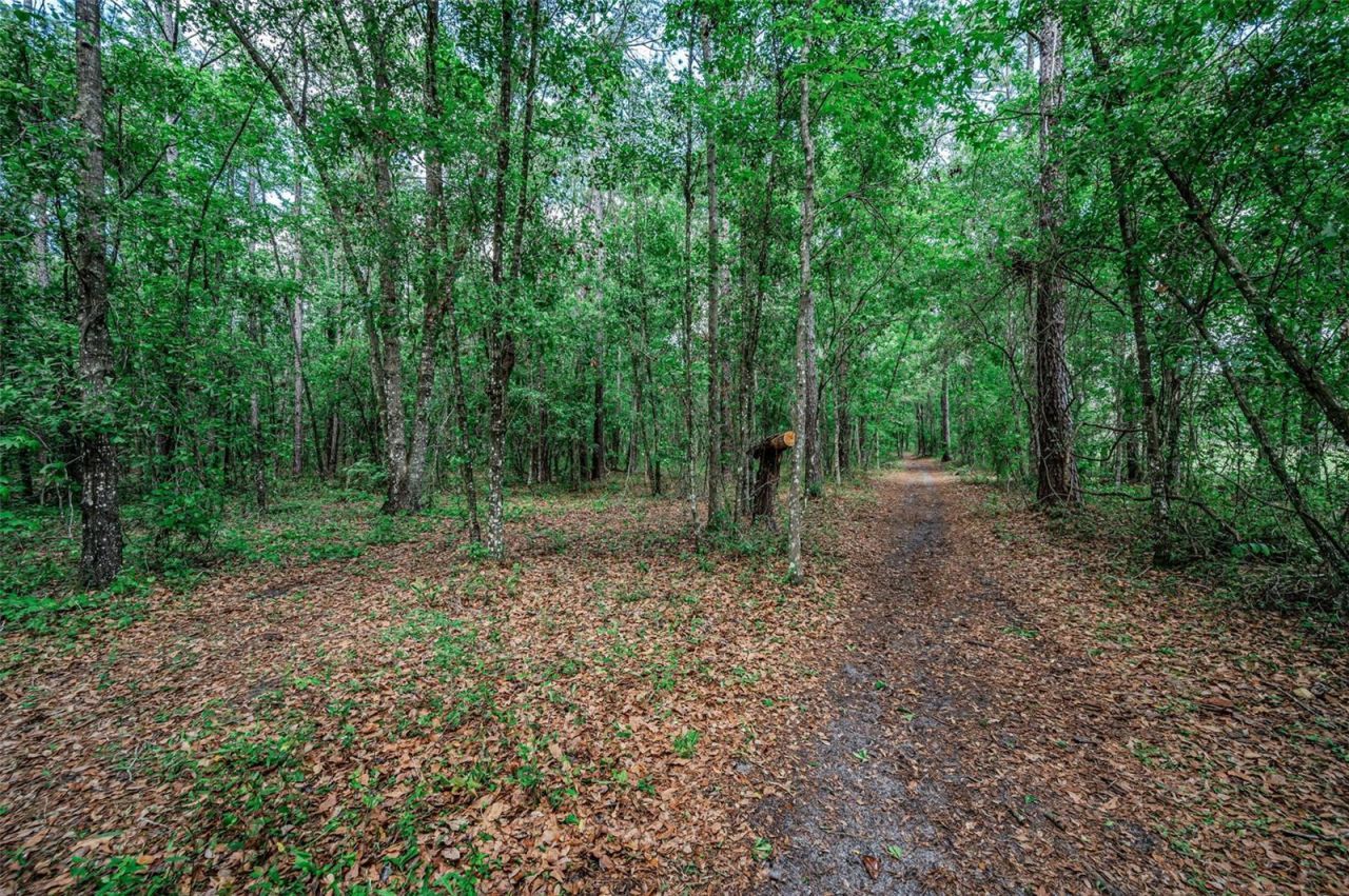 4130 Racers Way, Brooksville, FL 34604 Photo