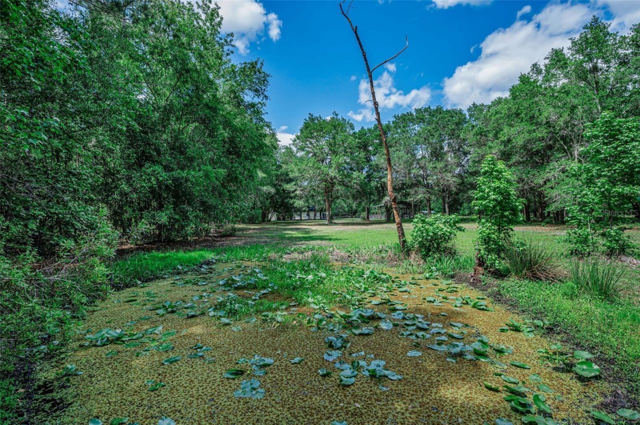 4130 Racers Way, Brooksville, FL 34604 Photo