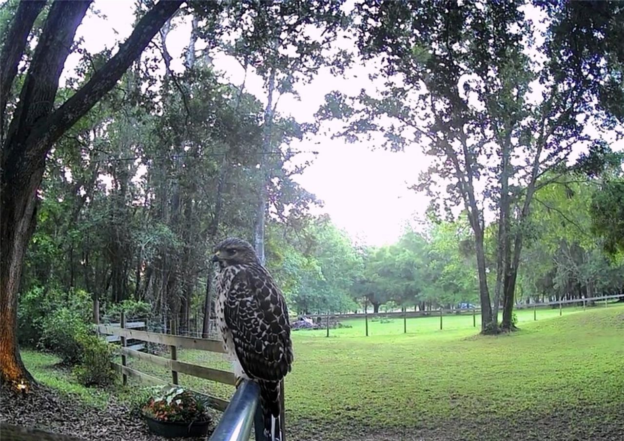 4130 Racers Way, Brooksville, FL 34604 Photo