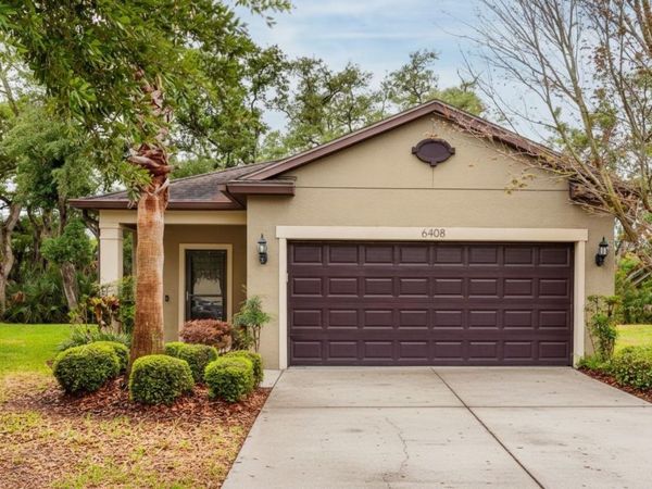 6408 YELLOW BUCKEYE DRIVE , RIVERVIEW, FL 33578