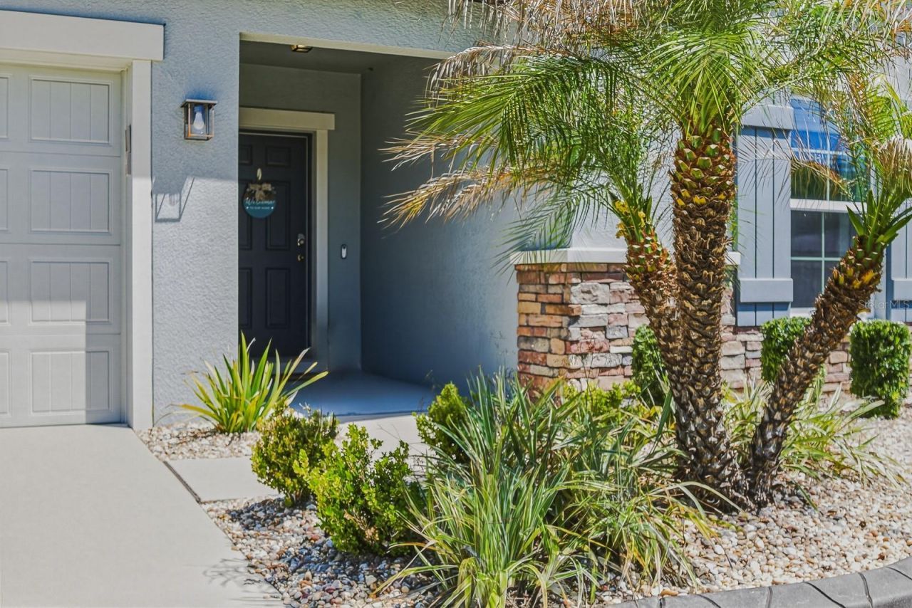 18908 Alfaro Loop , Spring Hill, FL 34610 Photo