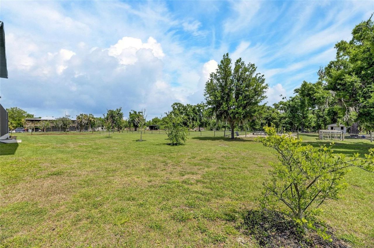 16410 Alderman Turner Road, Wimauma, FL 33598 Photo