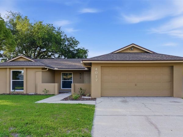 4017 BRAESGATE LANE , TAMPA, FL 33624