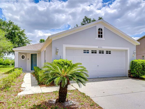 18003 BIRDWATER DRIVE, TAMPA, FL 33647