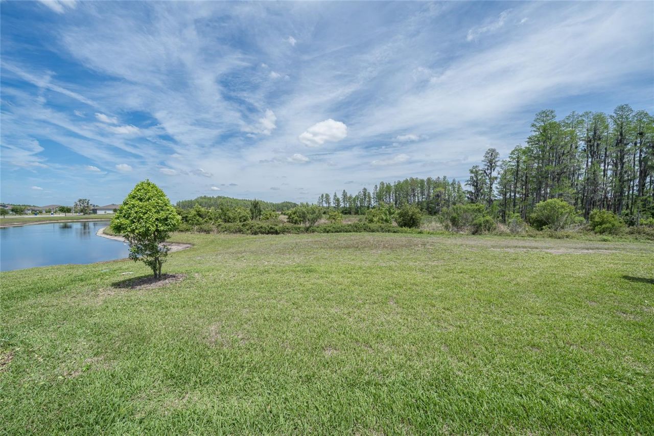 19437 Ship Wheel Way , Land O Lakes, FL 34638 Photo