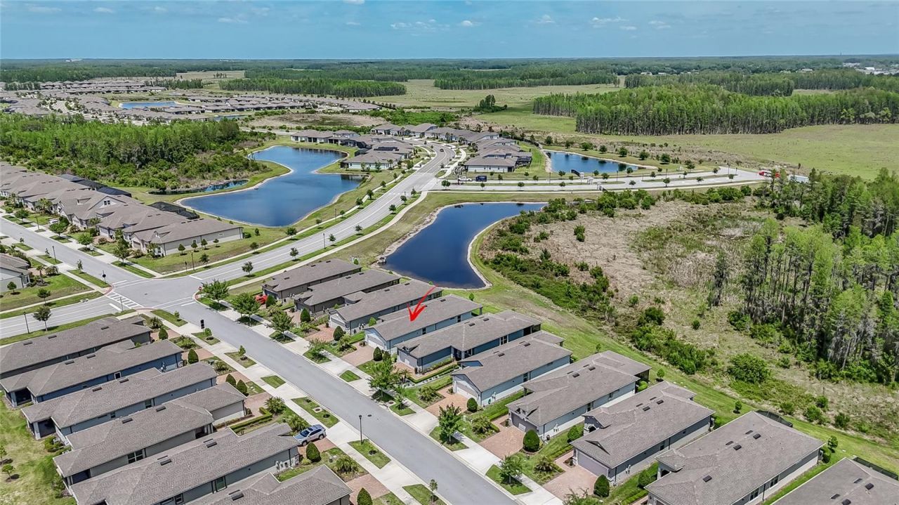 19437 Ship Wheel Way , Land O Lakes, FL 34638 Photo