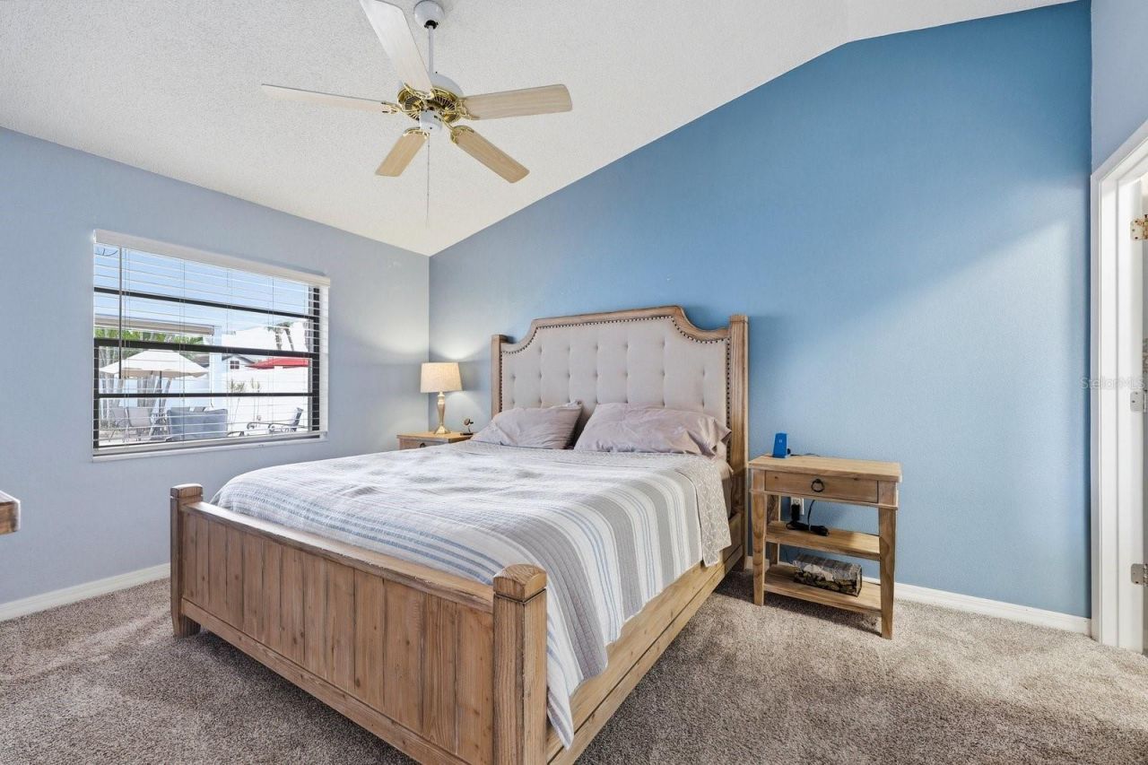 221 Arbor Drive W, Palm Harbor, FL 34683 Photo