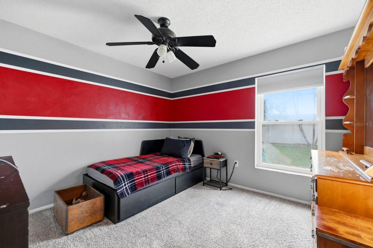 221 Arbor Drive W, Palm Harbor, FL 34683 Photo