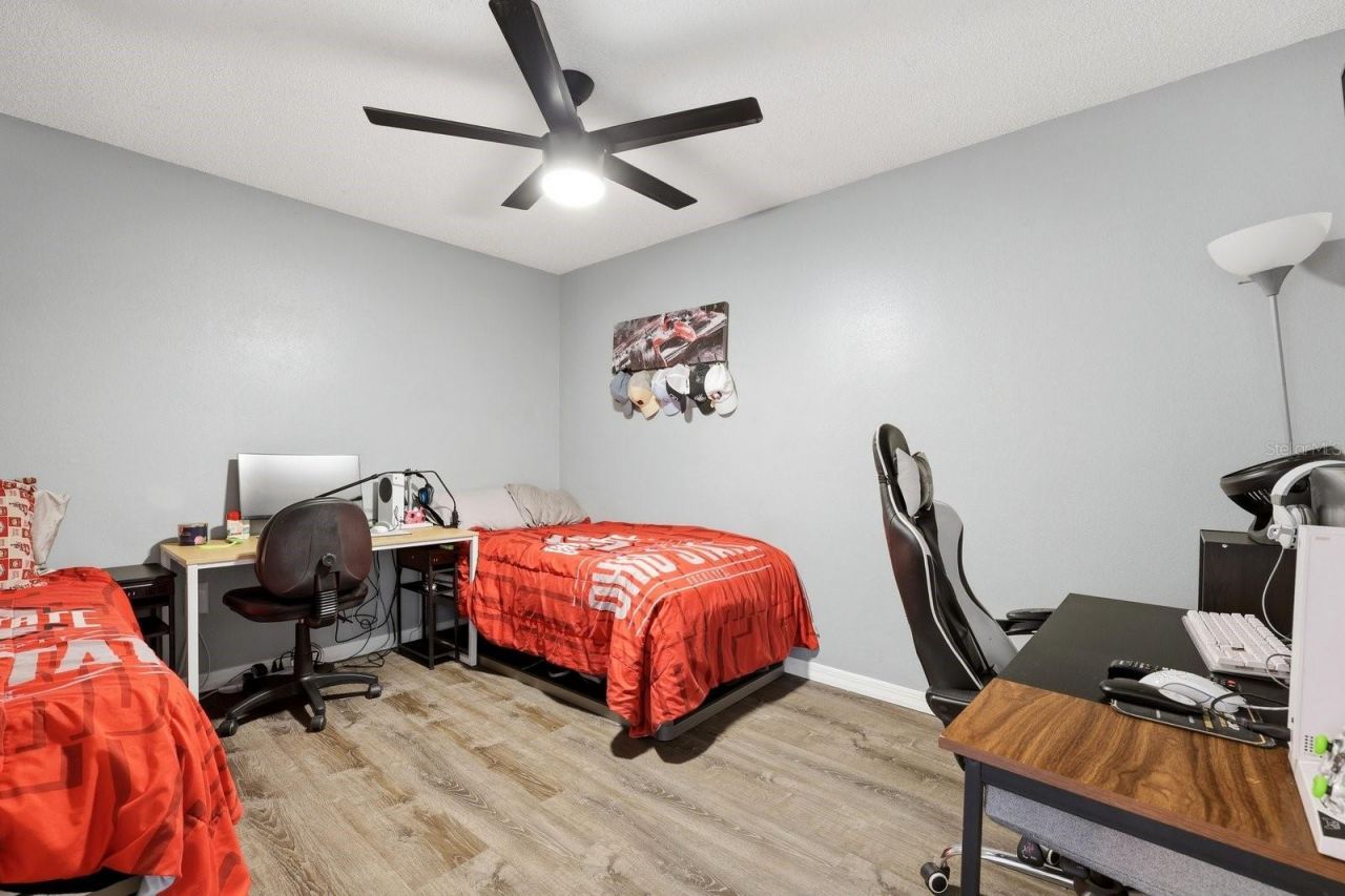 221 Arbor Drive W, Palm Harbor, FL 34683 Photo