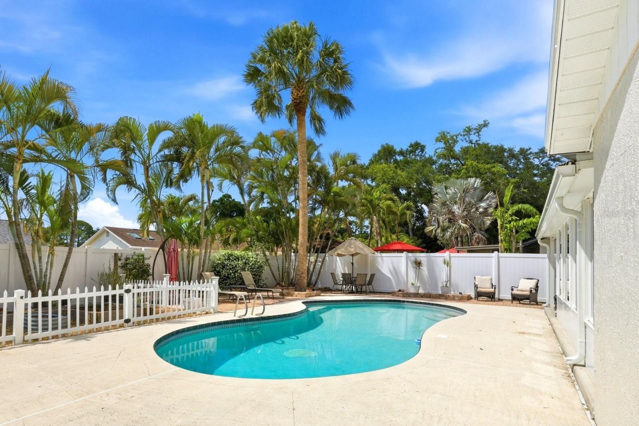 221 Arbor Drive W, Palm Harbor, FL 34683 Photo