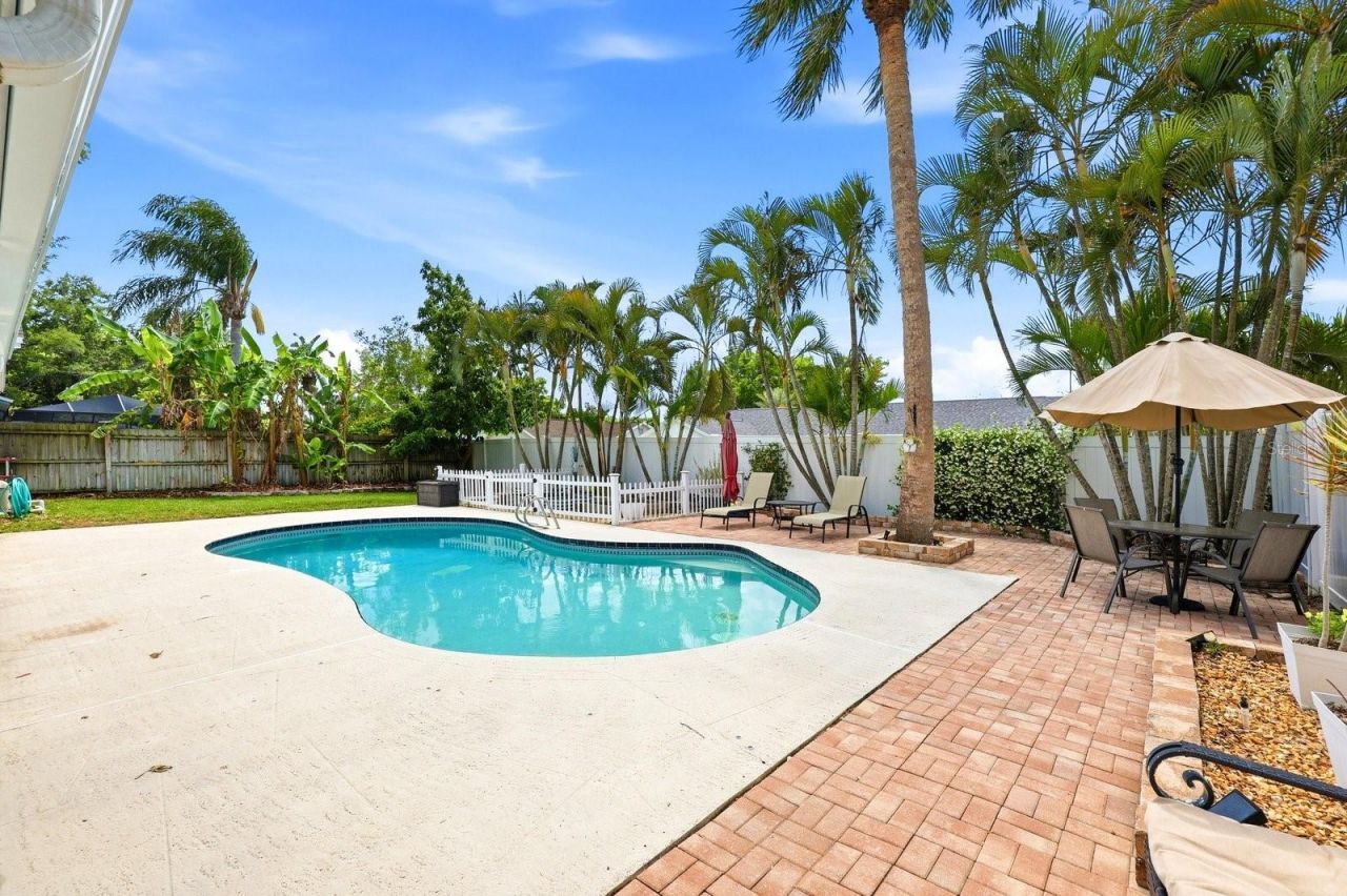 221 Arbor Drive W, Palm Harbor, FL 34683 Photo