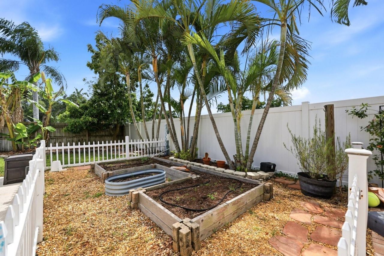 221 Arbor Drive W, Palm Harbor, FL 34683 Photo