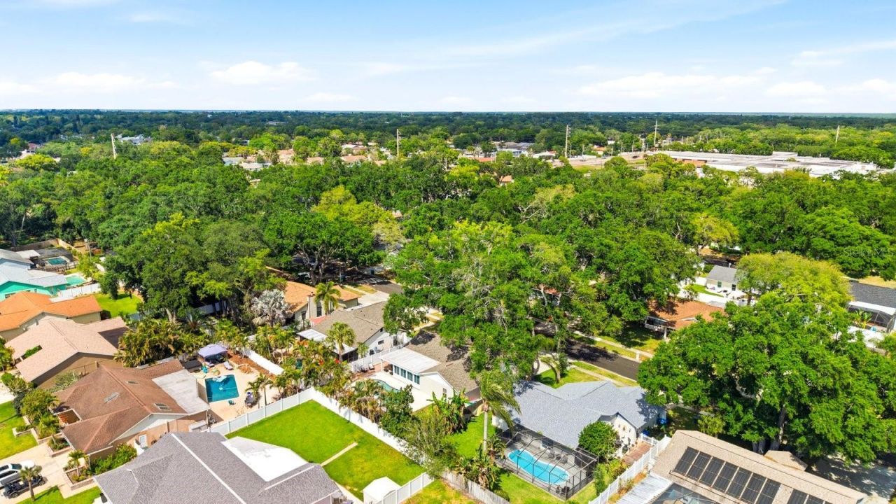 221 Arbor Drive W, Palm Harbor, FL 34683 Photo