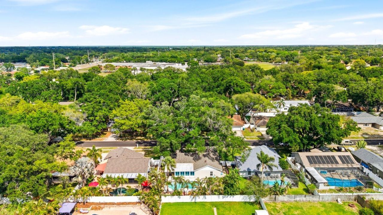 221 Arbor Drive W, Palm Harbor, FL 34683 Photo