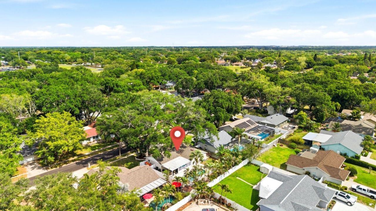 221 Arbor Drive W, Palm Harbor, FL 34683 Photo