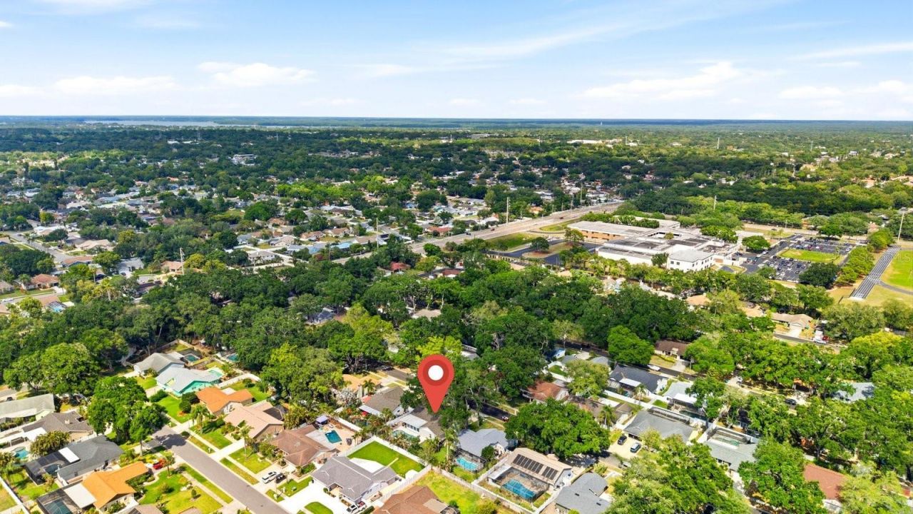 221 Arbor Drive W, Palm Harbor, FL 34683 Photo