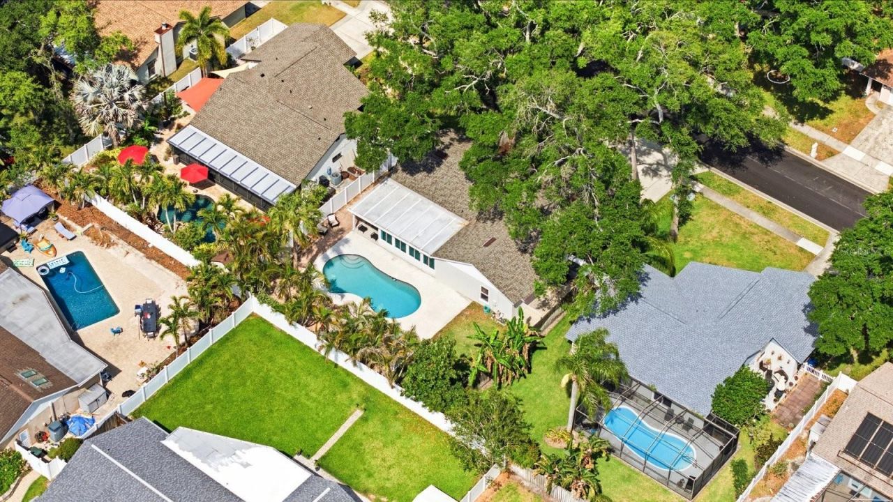 221 Arbor Drive W, Palm Harbor, FL 34683 Photo