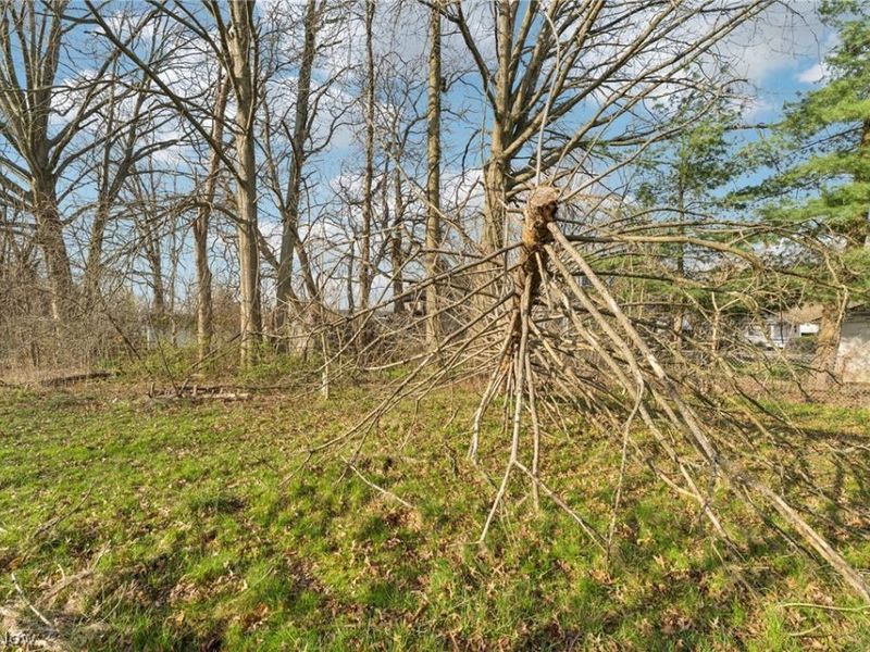 2726 Beck Street SE, Warren, OH 44484 Photo 43