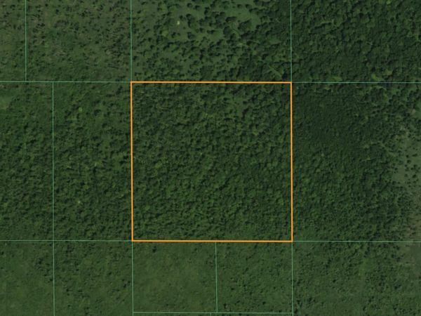 Lt1 State Highway 49 -, Bloomfield, WI 54965