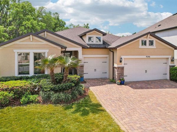 19246 BRIARBROOK DRIVE , TAMPA, FL 33647