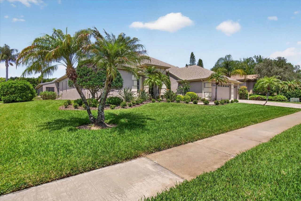 4052 Capitol Drive, Palm Harbor, FL 34685 Photo