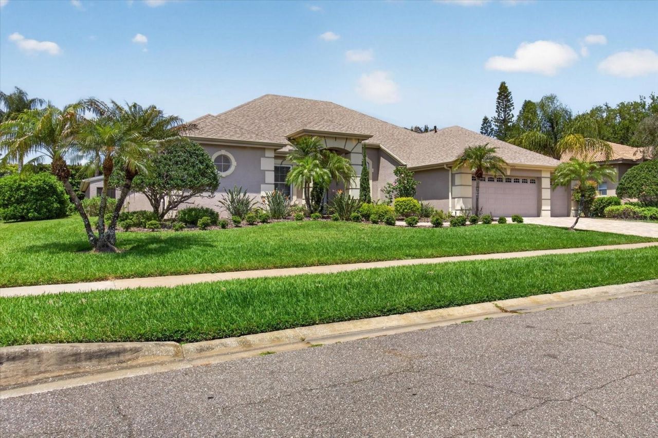4052 Capitol Drive, Palm Harbor, FL 34685 Photo